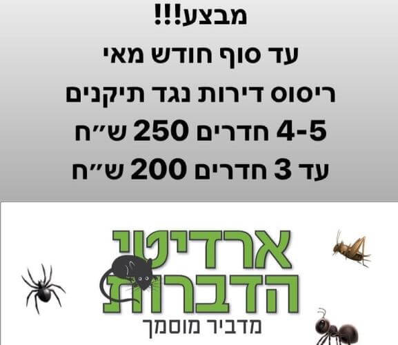 ארדיטי הדברות